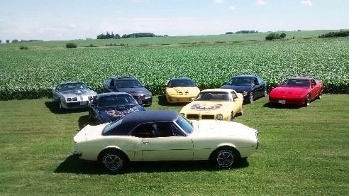Winkleman's Firebird Fever