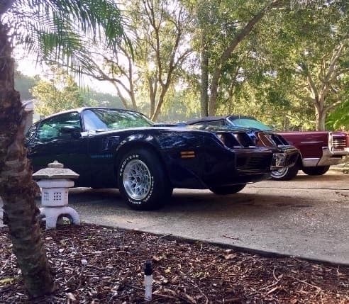 1979 Trans Am