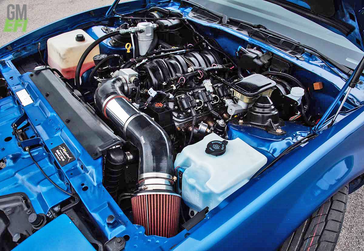 Blue Firehawk Tribute 13