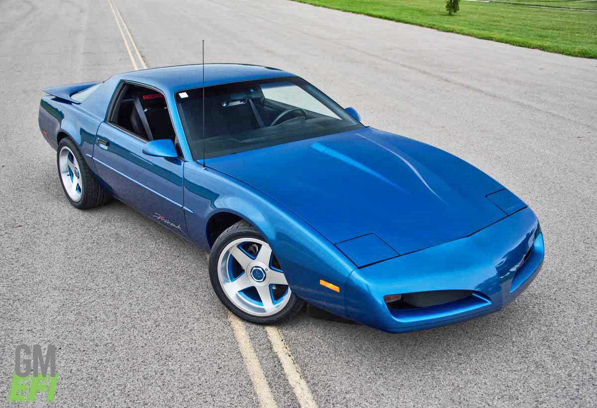 Blue Firehawk Tribute 14 2