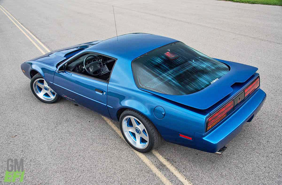 Blue Firehawk Tribute 2