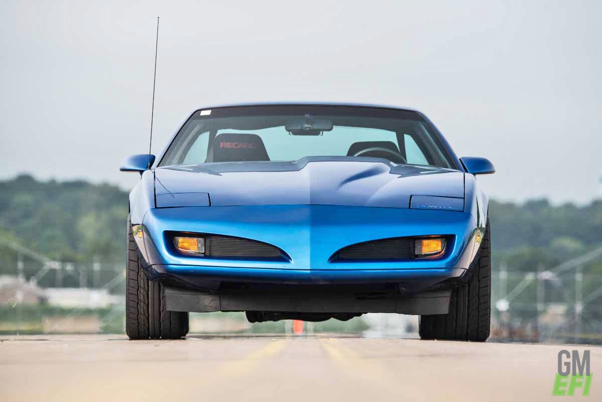 Blue Firehawk Tribute 7